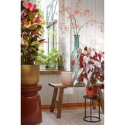 Handcrafted Brown Wooden Bench - Timeless Artisan Design