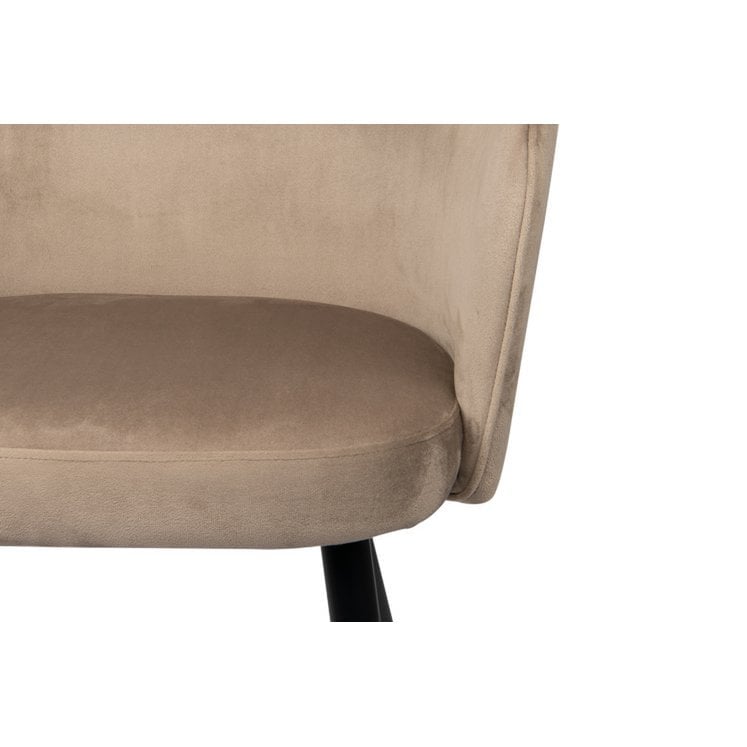 Elegant Hand-Finished Wing Chairs in Neutral Tones Set of 2