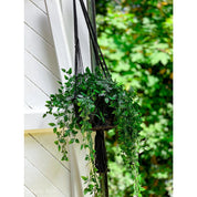 Timeless Luxury Handmade Macrame Plant Holder in Black